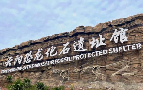 重庆一知名景区官宣暂停开放！